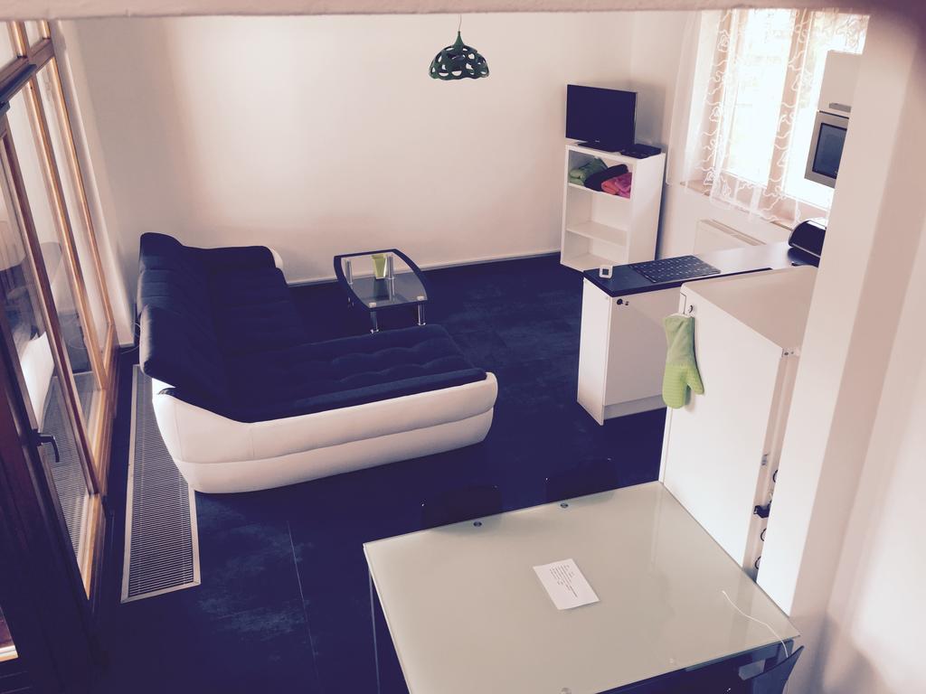 Apartman Martin 伏尔塔瓦河畔利普诺 客房 照片